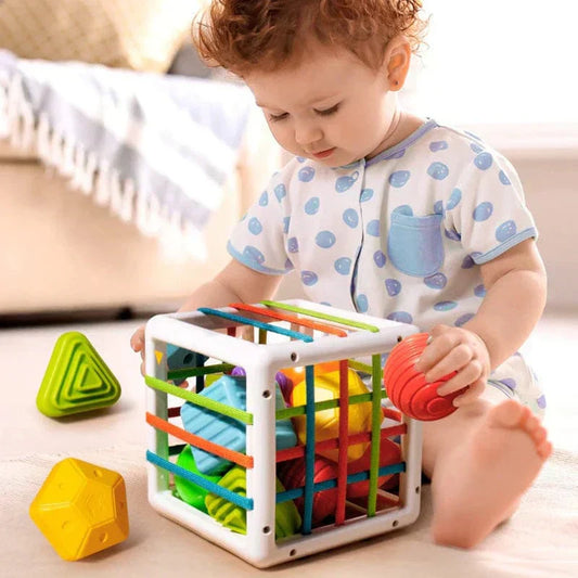 Galaxy-Shop Box - Educational Box