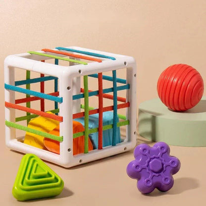 Galaxy-Shop Box - Educational Box