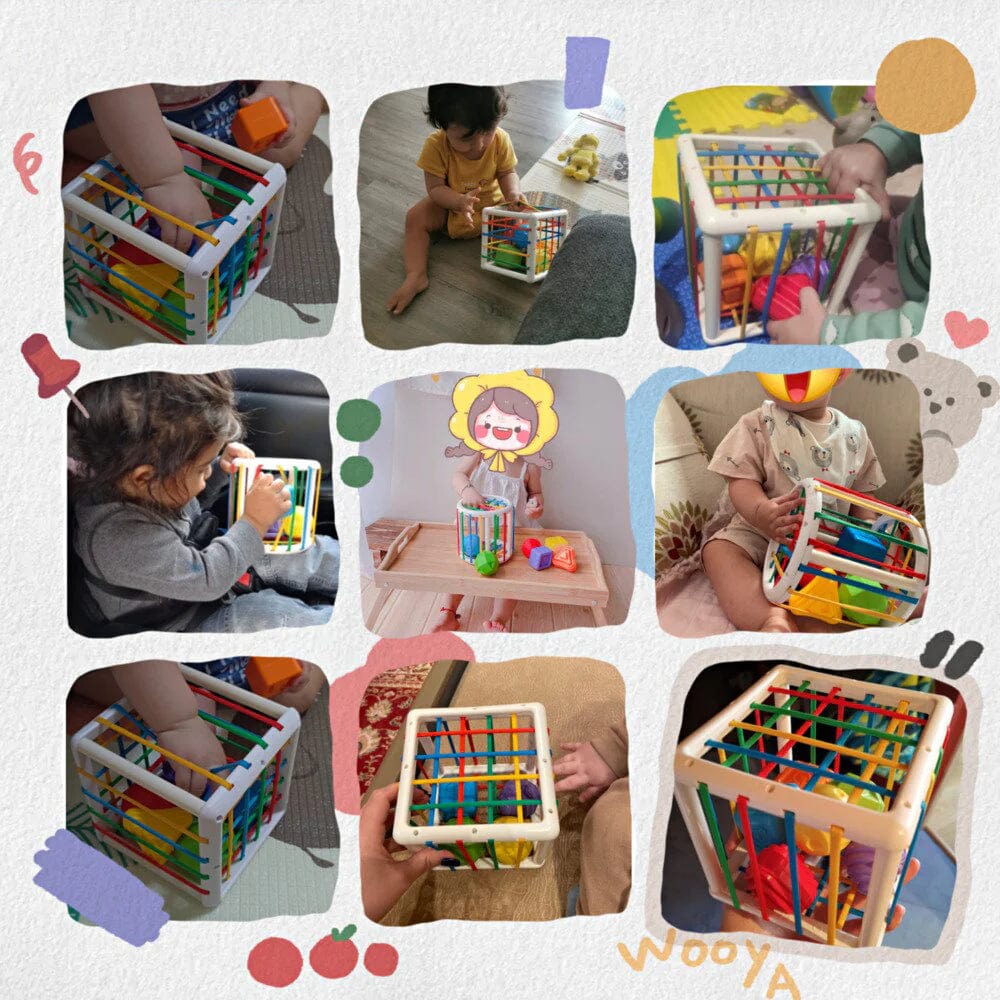 Galaxy-Shop Box - Educational Box