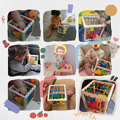 Galaxy-Shop Box - Educational Box